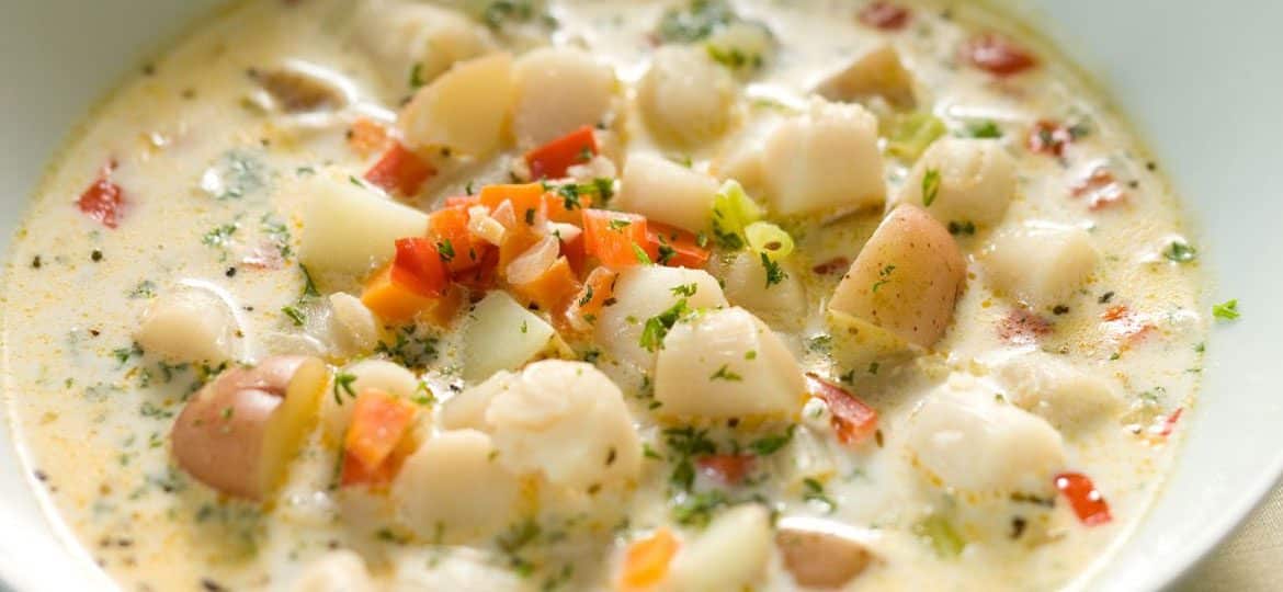 Jenny's Creamy Sea Scallop Soup ⋆ Ecopot